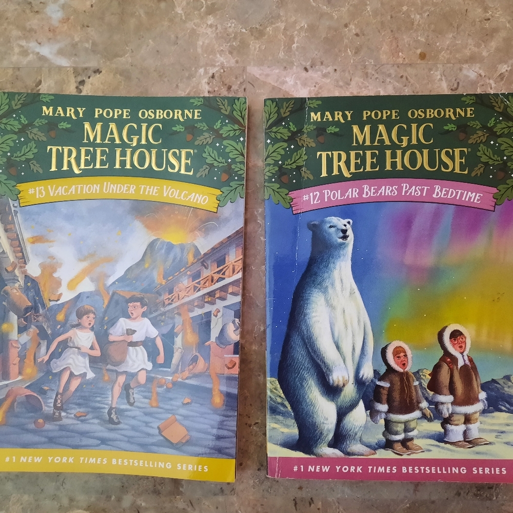 Magic Tree House book bundle